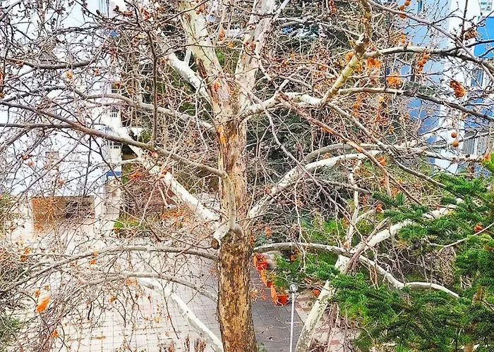 Kaira Homes & 앙카라