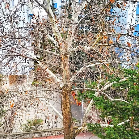 Kaira Homes & Ankara